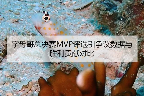 字母哥总决赛MVP评选引争议数据与胜利贡献对比