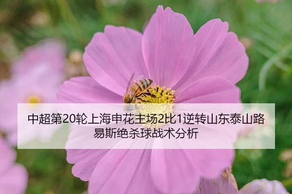 zhong-chao-di-lun-shang-hai-shen-hua-zhu-chang-bi-ni-zhuan-shan-dong-tai-shan-lu-yi-si-jue-sha-qiu-zhan-shu-fen-xi-2-227.jpg