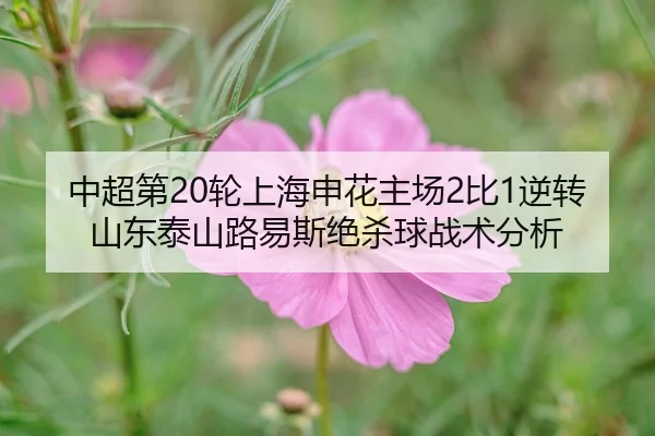 中超第20轮上海申花主场2比1逆转山东泰山路易斯绝杀球战术分析